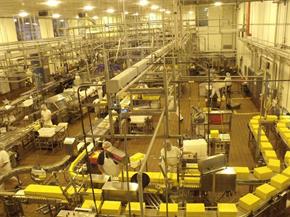 tillamook cheese factory